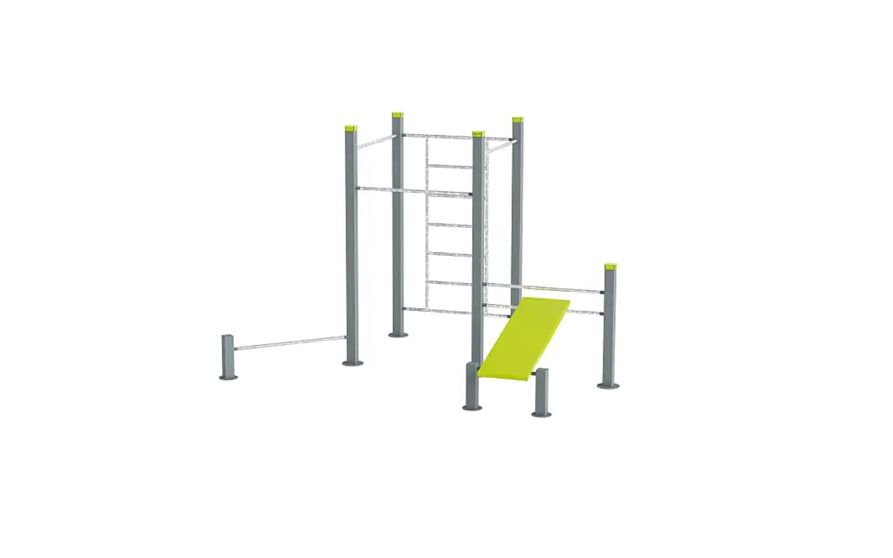 Categoria Calisthenics