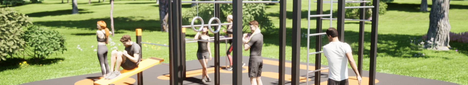 Banner per Calisthenics