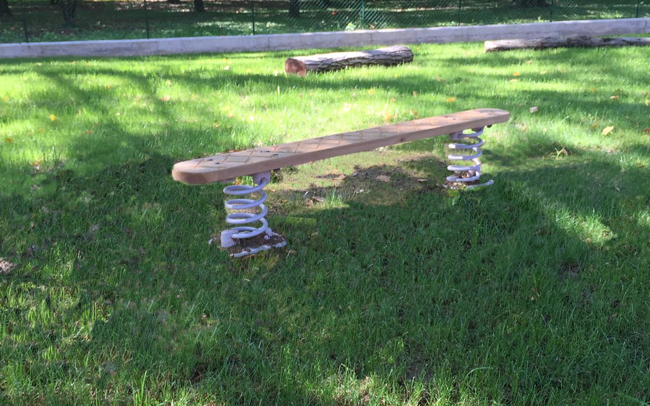 WOBBLE BOARD - Immagine 3