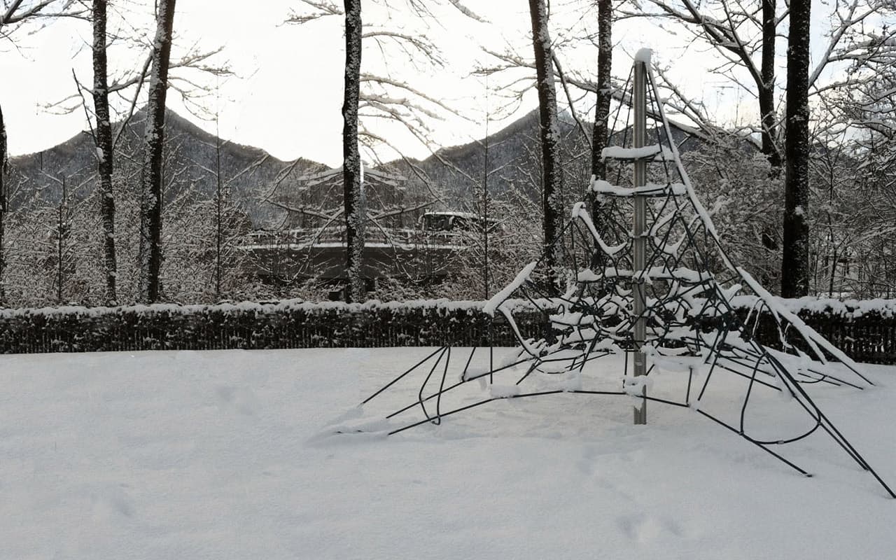 Climbing Net Active - Immagine 8