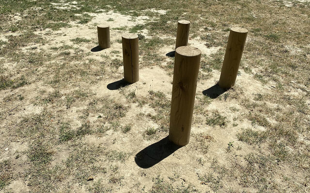 N.20 SALTI ALTERNATI - Immagine 3