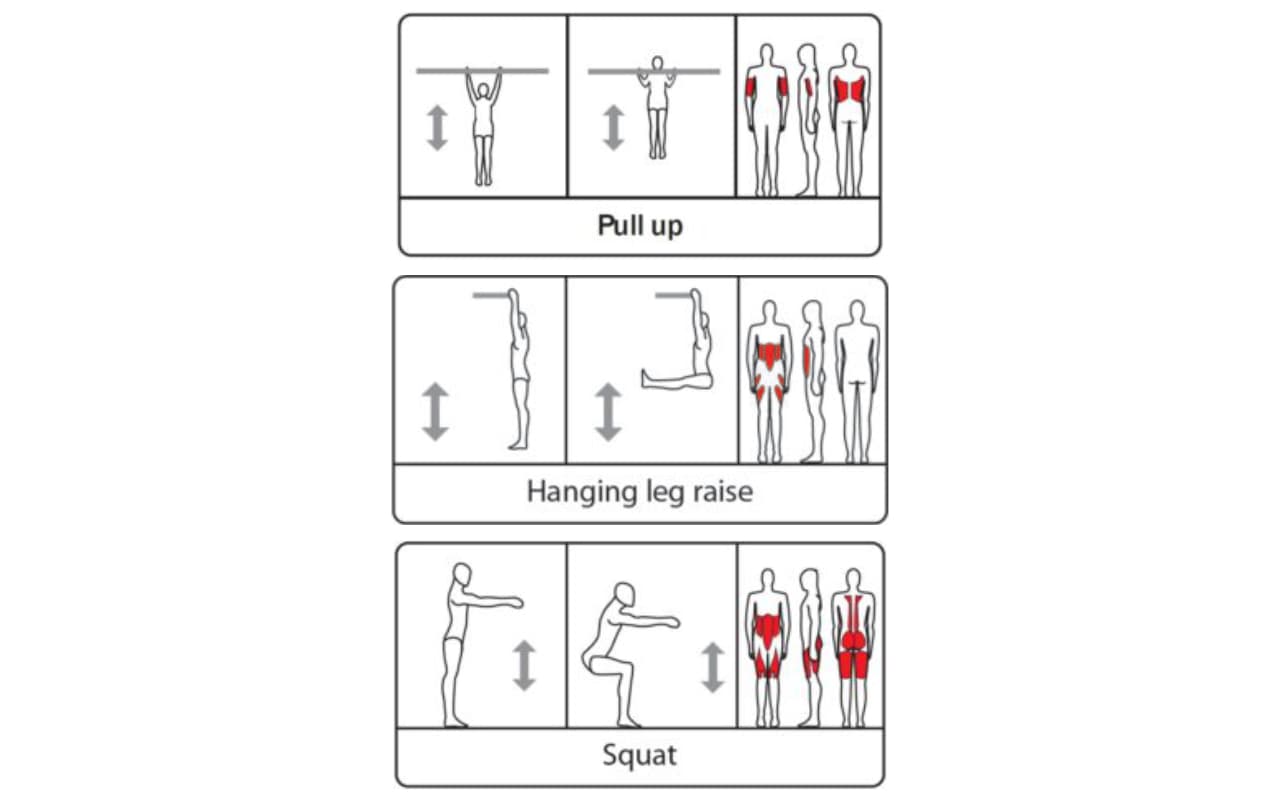 SQUAT WORKOUT - Immagine 2