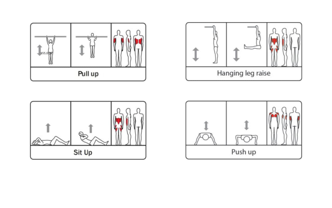 WALL - 3 PULL UP BARS - BENCH - PUSH UP - Immagine 4