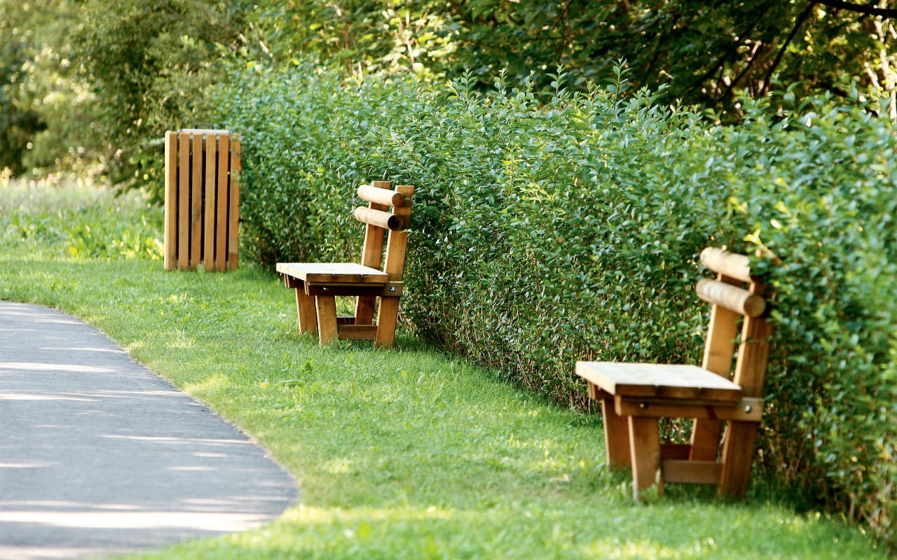 VIALE - Immagine 3