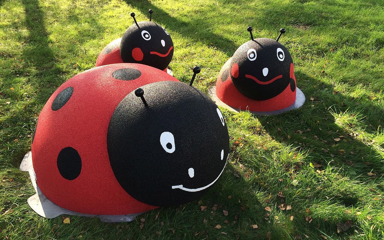 COCCINELLA - Immagine 4