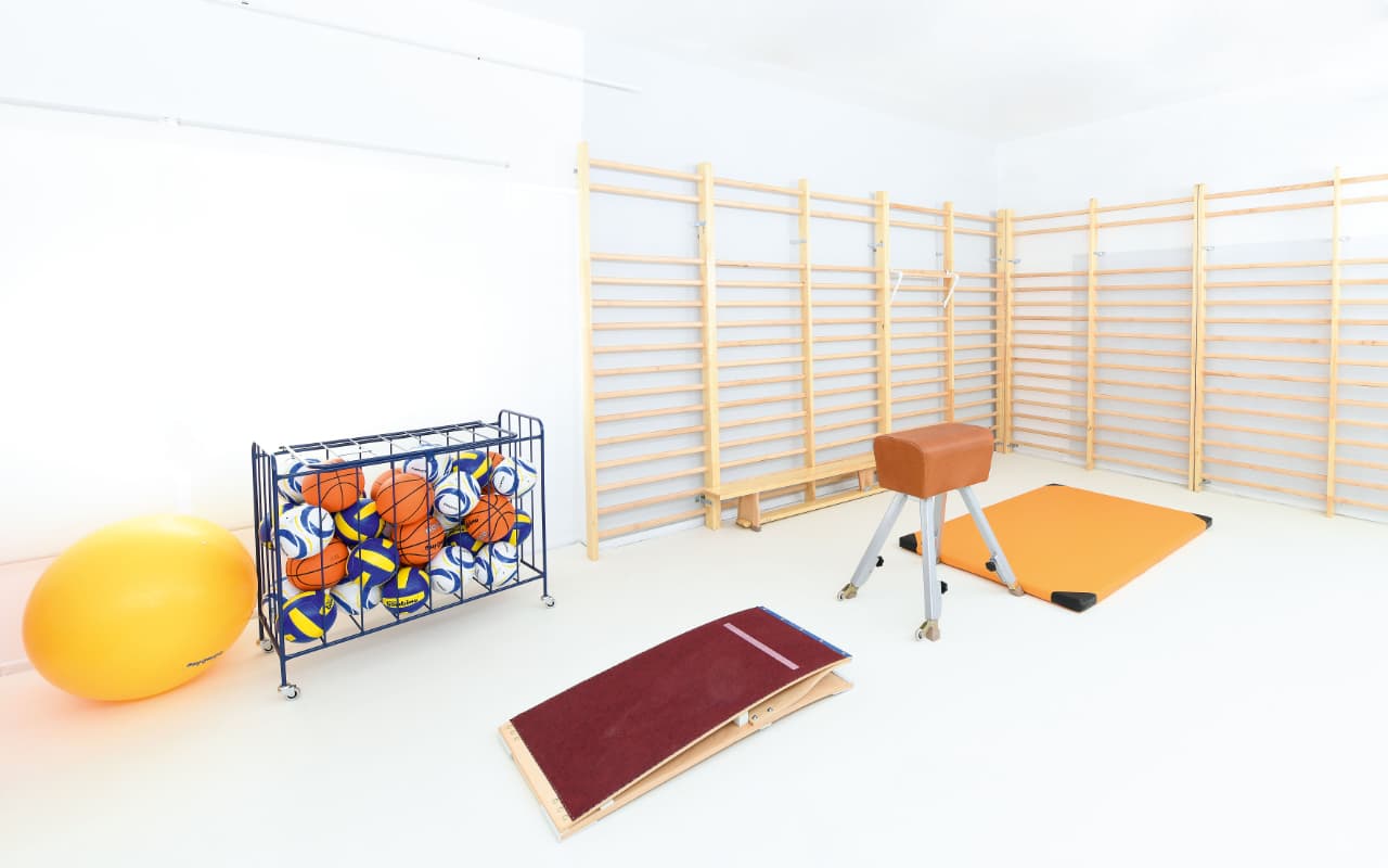 scala ginnica - Immagine 3