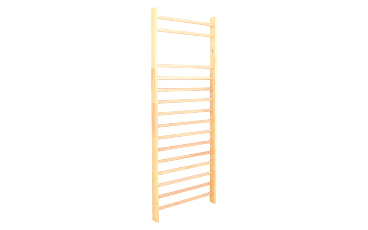 scala ginnica - Immagine 2