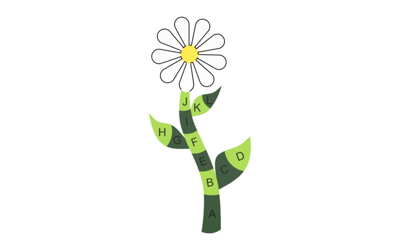 Prodotto FIORE 2D