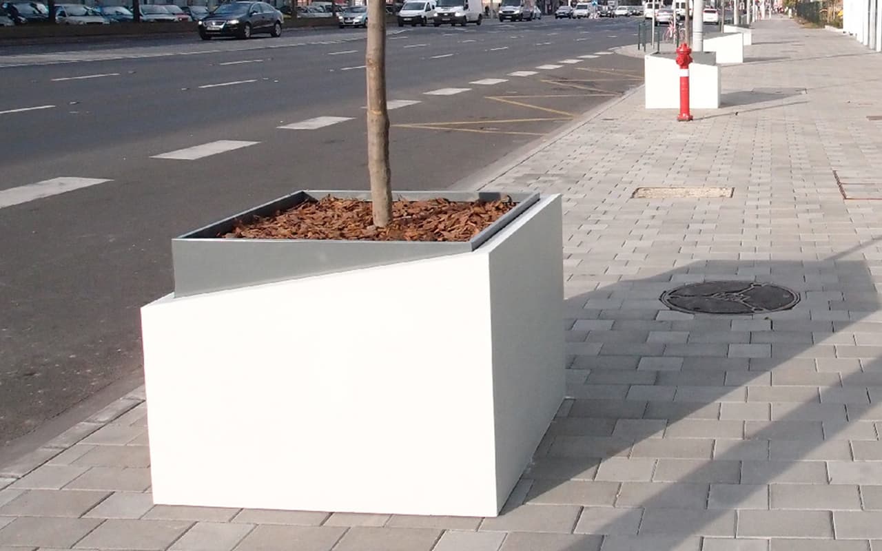 Planta - Immagine 3
