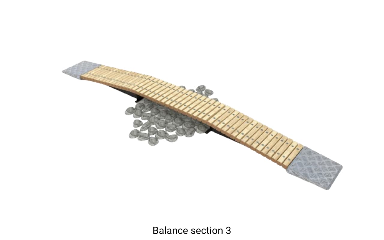 Balance section - Immagine 4