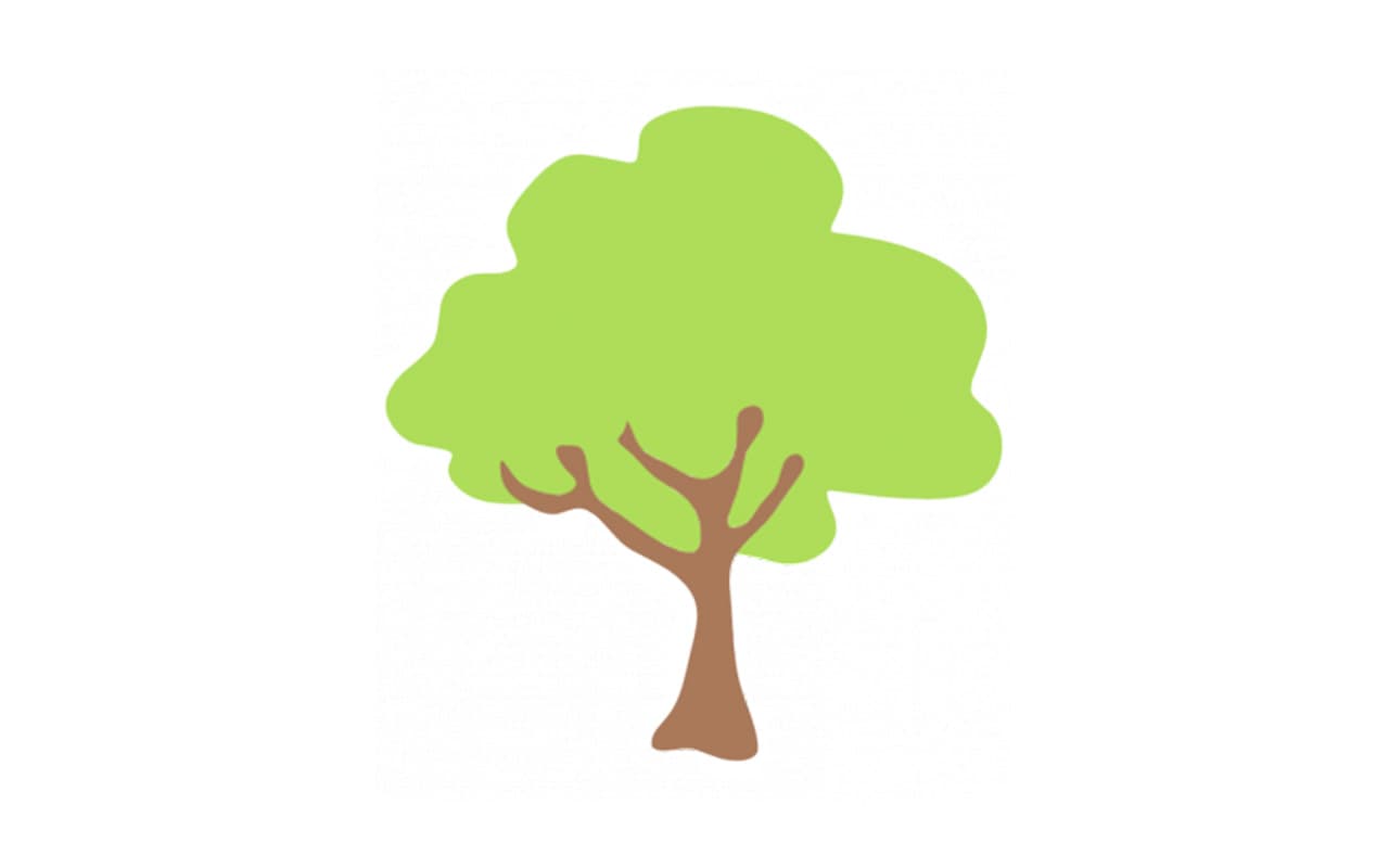 Categoria Piante