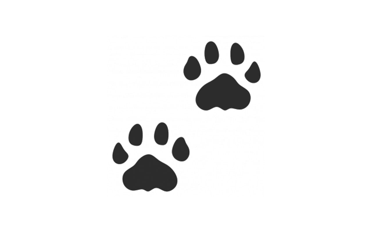 Categoria Impronte